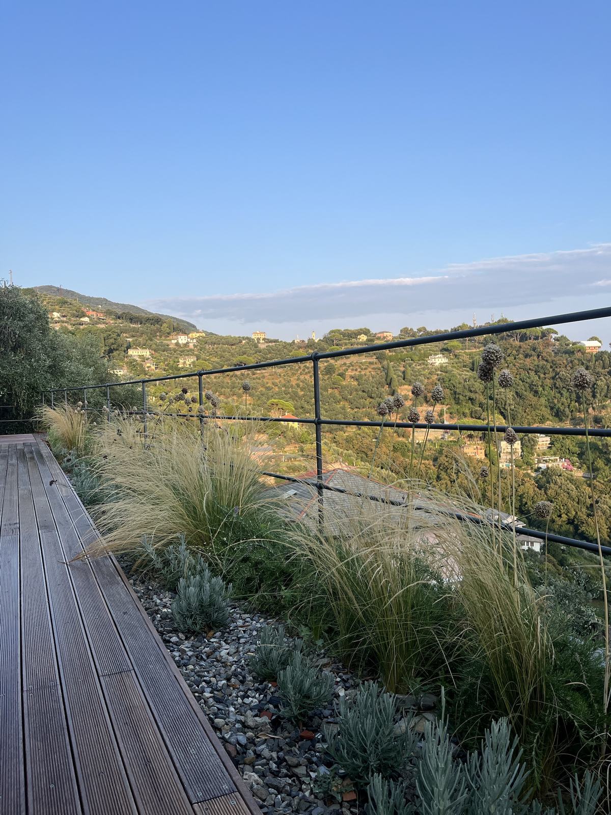 Il bordo della fascia sul pietrisco, con vista sul versante di olivi
